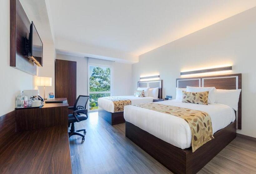 اتاق استاندارد با 2 تخت دوبل, Sleep Inn Guadalajara Galerias