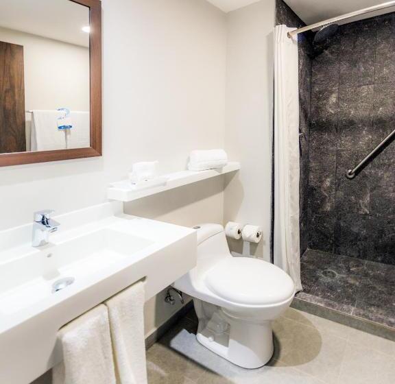 اتاق استاندارد, Sleep Inn Guadalajara Galerias