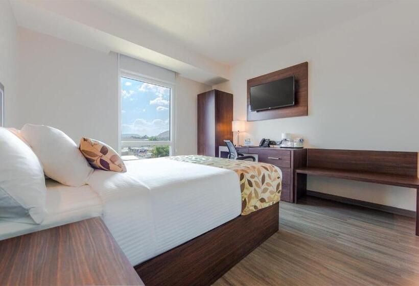 اتاق استاندارد, Sleep Inn Guadalajara Galerias