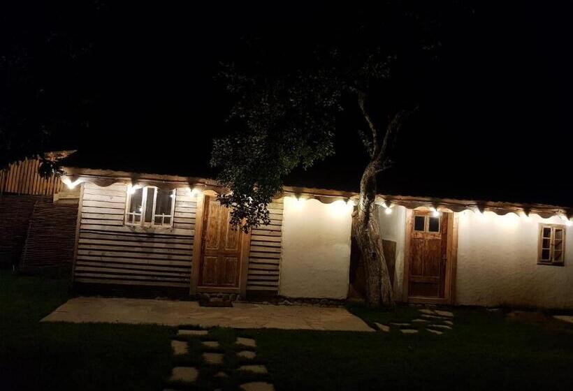 اتاق اکونومی, Joyard   Pensiune & Parc