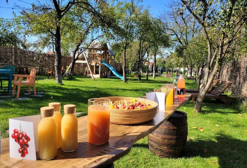 ویلای سوپریور 1 خوابه, Joyard   Pensiune & Parc