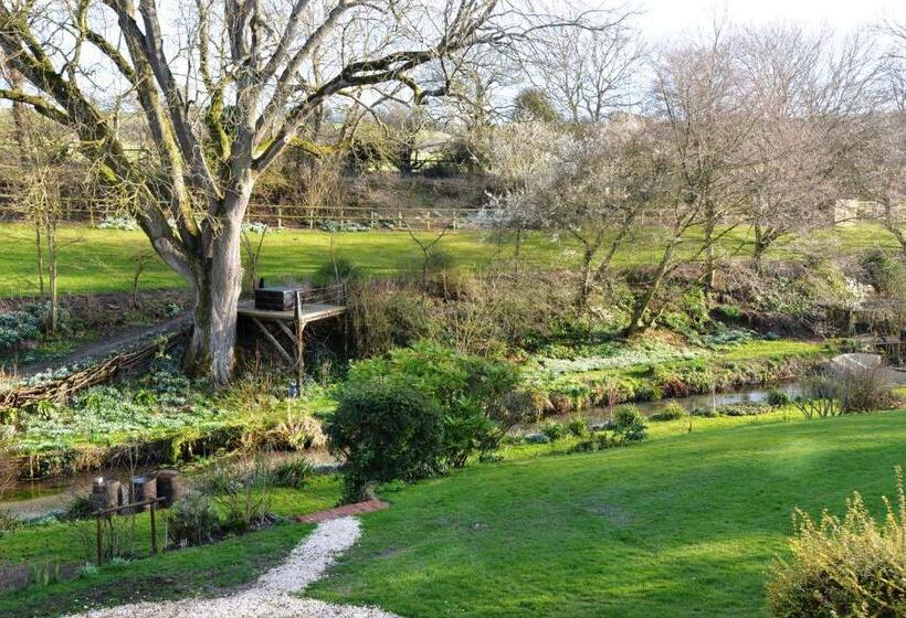 스탠다드 룸, Thatchcombe B&b