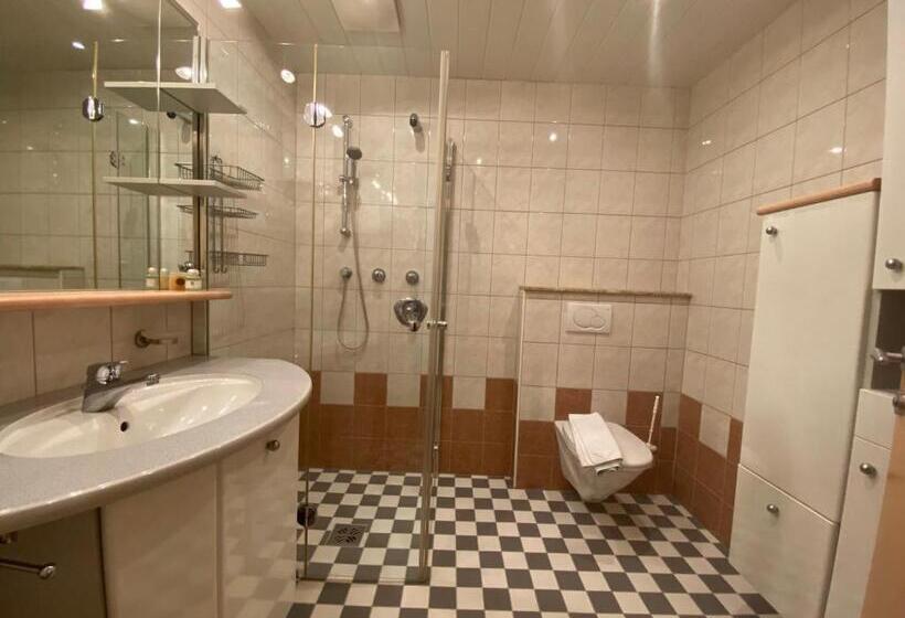إستوديو ديلوكس, Apartments Hohenberger