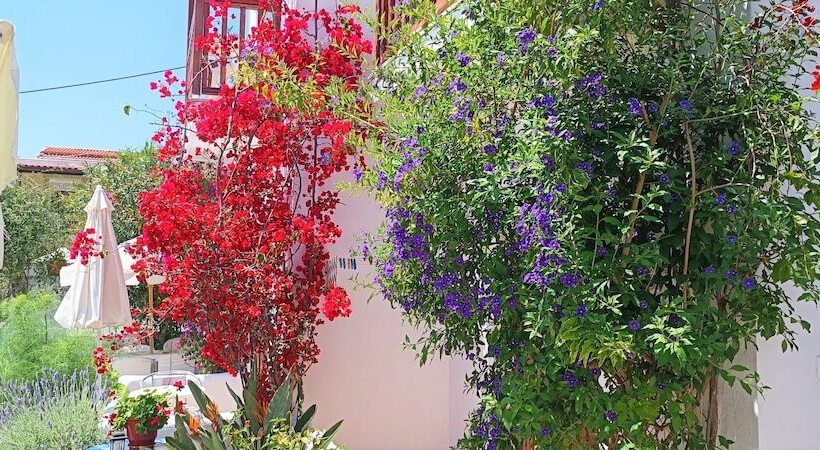 استودیوی استاندارد, Amalthia Studios
