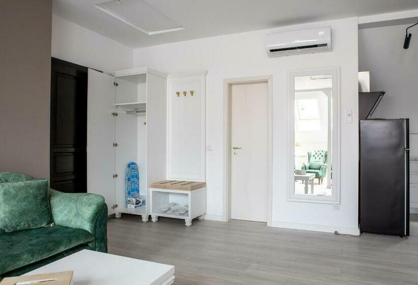 1 Bedroom Penthouse Apartment, City Rooms