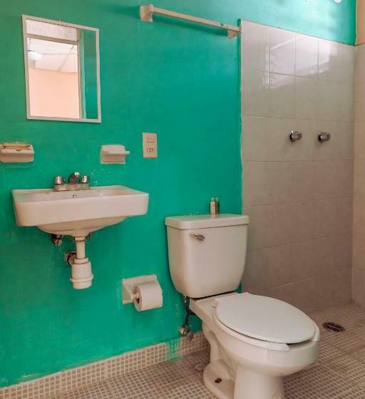 Quarto Estandar, Lekami