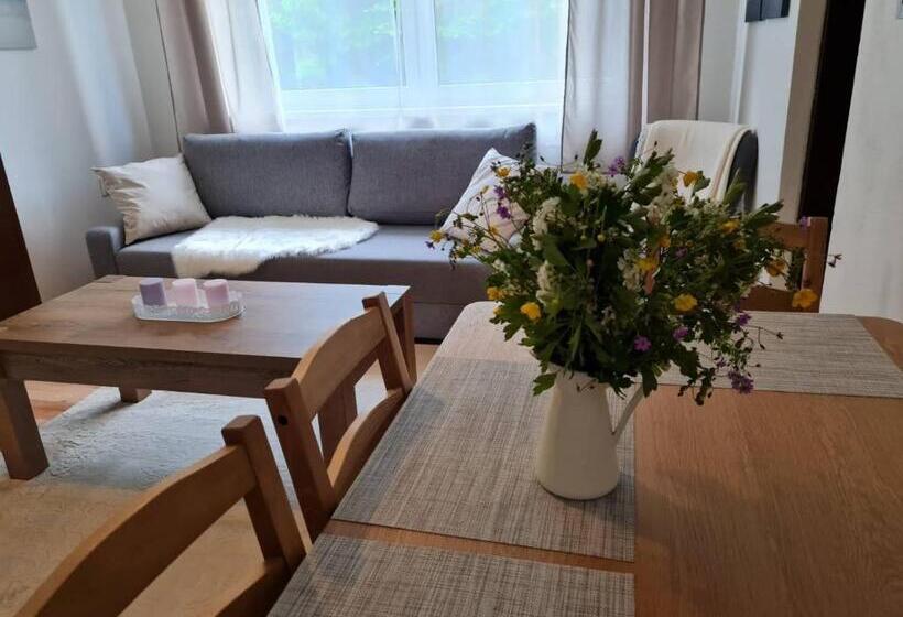 带1个卧室的公寓, Villa Paradajs   Ubytovanie Pri Jazere
