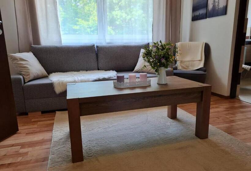 Апартаменты 1 Спальня, Villa Paradajs   Ubytovanie Pri Jazere
