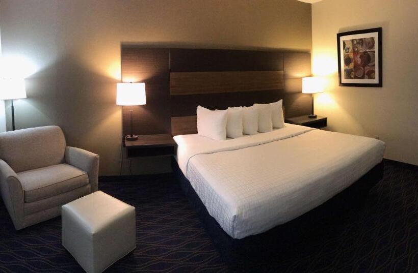 장애인을 위한 킹사이즈 침대 스탠다드 룸, Best Western Troy Inn