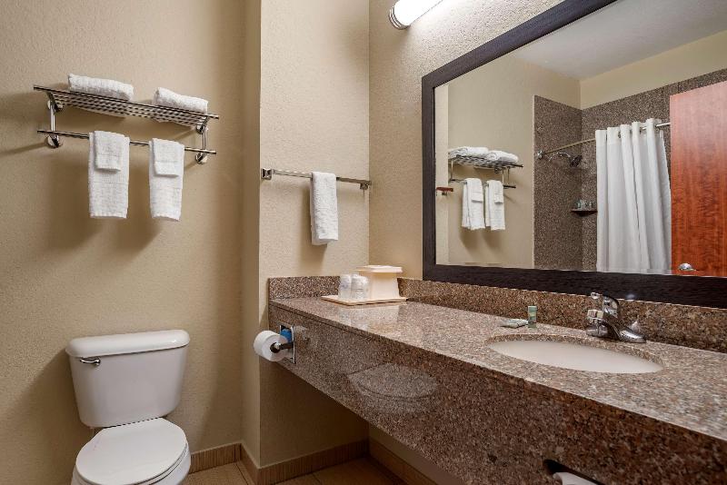 스탠다드 룸 킹사이즈 침대, Best Western Troy Inn