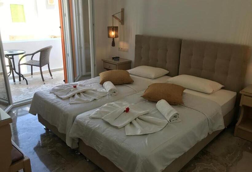 Номер Стандарт, Vassiliki Rooms