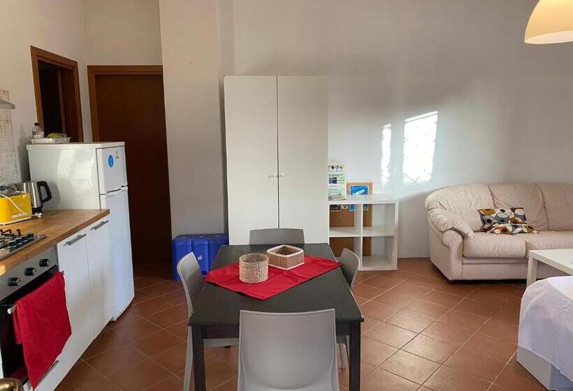 استودیو استاندارد با چشم‌انداز باغ, Alice Kite Resort