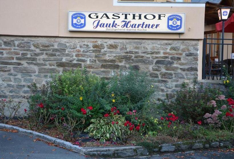 Номер Стандарт с Террасой, Gasthof Jauk Hartner