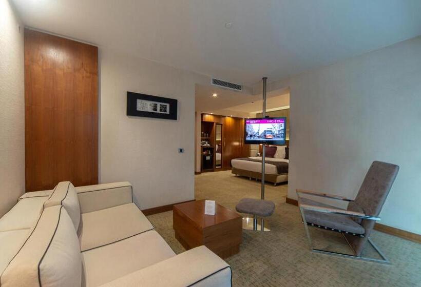 带大床的小型套房, Crowne Plaza Istanbul Harbiye, An Ihg