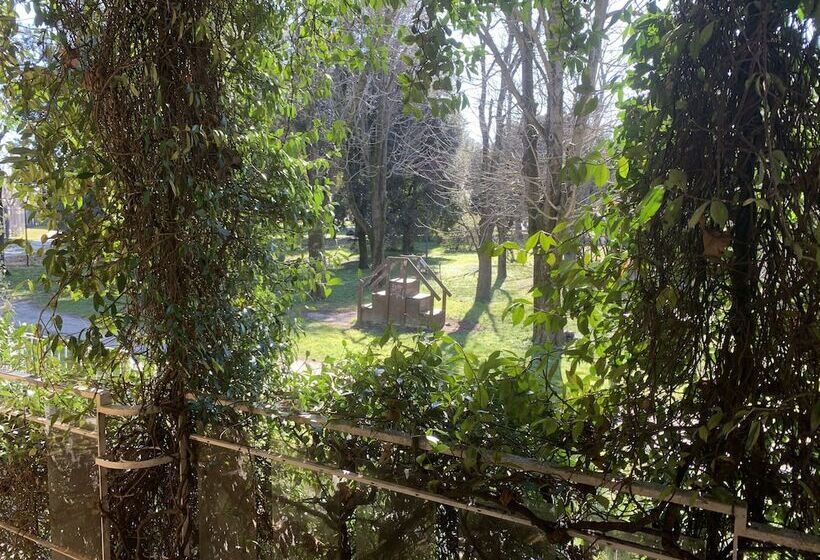 اتاق لوکس, Villa Mase