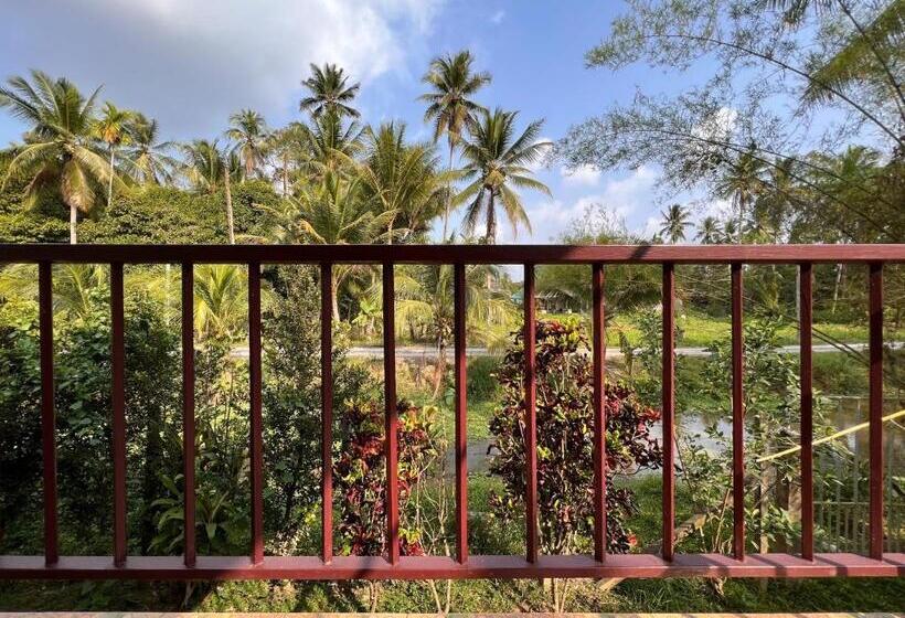 اتاق استاندارد سه نفره, Naisang Hostel