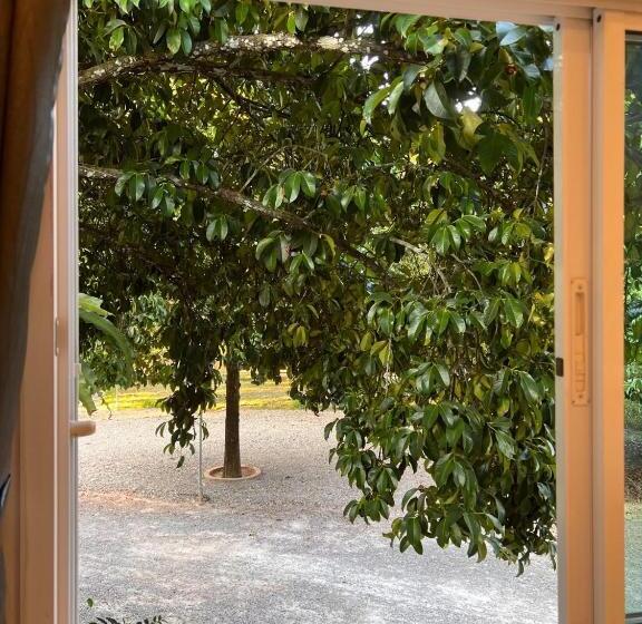 ویلای 1 خوابه, Naisang Hostel