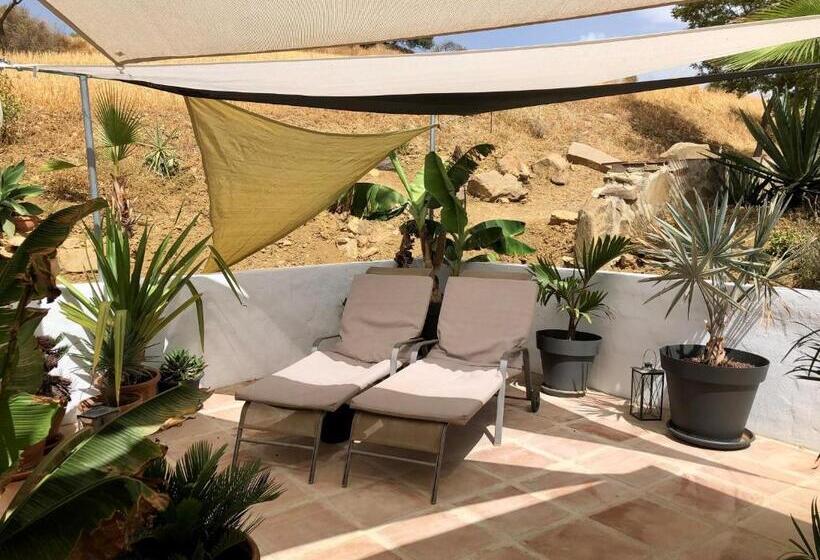 Стандартный Номер Кровать Кинг, Finca Las Campanas Ii