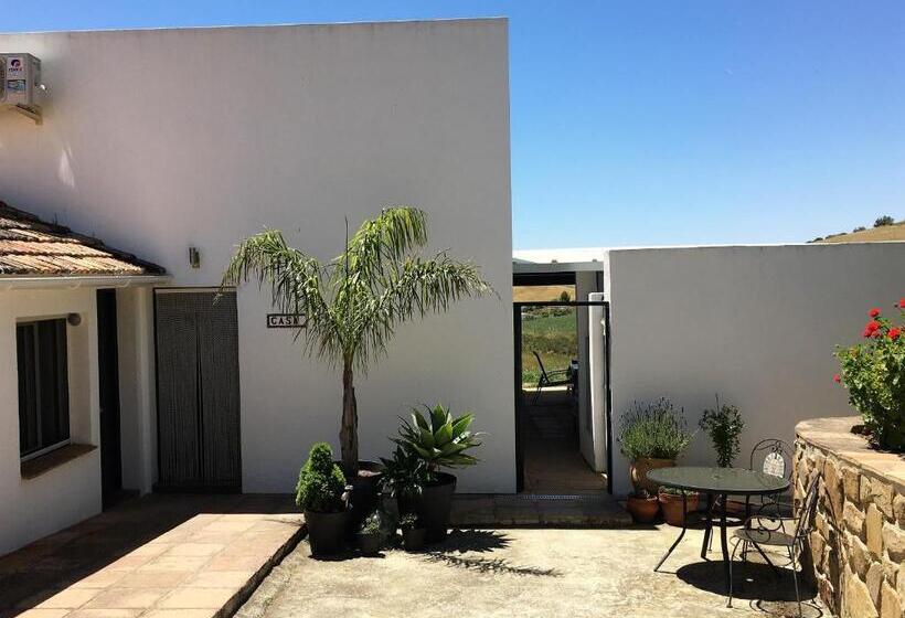 Стандартный Номер Кровать Кинг, Finca Las Campanas Ii