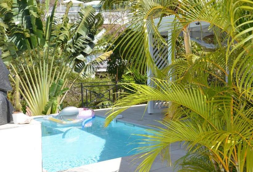 ویلای یک اتاق خوابه با استخر شنا, Villa « Fleur De Pirate »