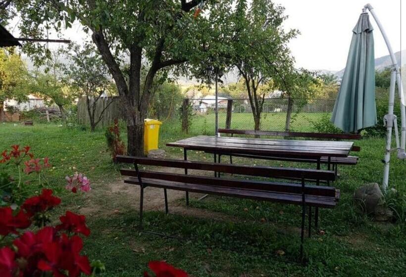 Номер Стандарт, Pensiunea Adeluta