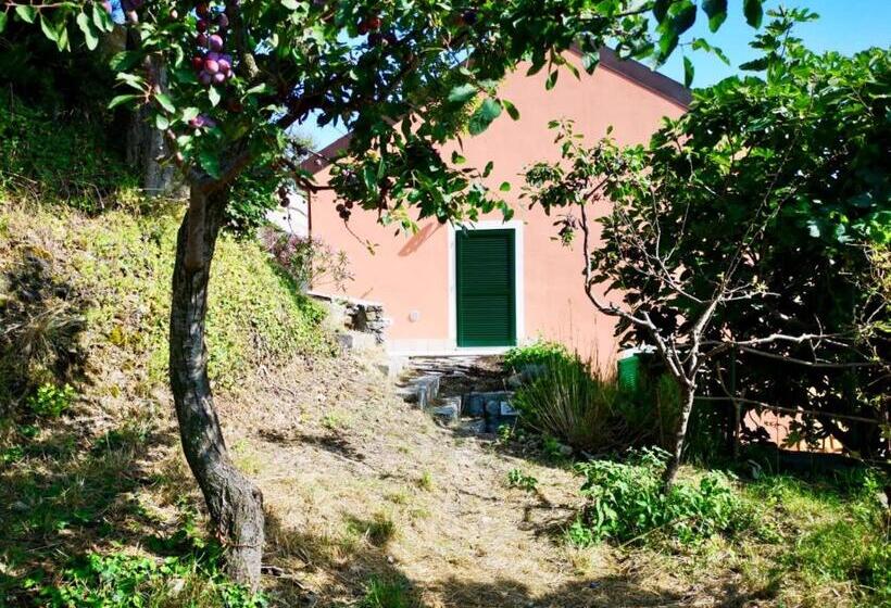 Номер Стандарт Вид на Сад, Agriturismo Lavalleggia