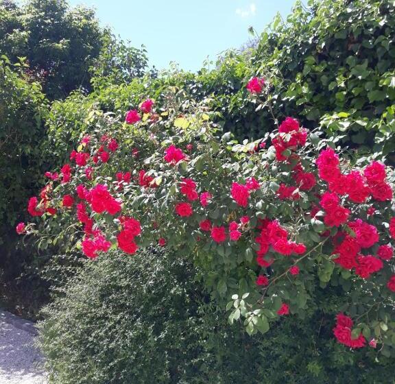 اتاق استاندارد با تخت بزرگ, Coté Remparts