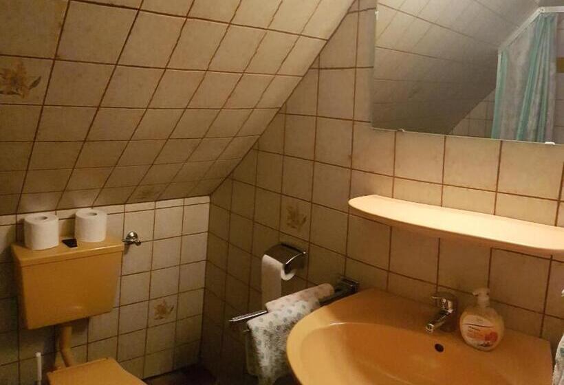 اتاق استاندارد, Hausnordlicht Dachspitze 2