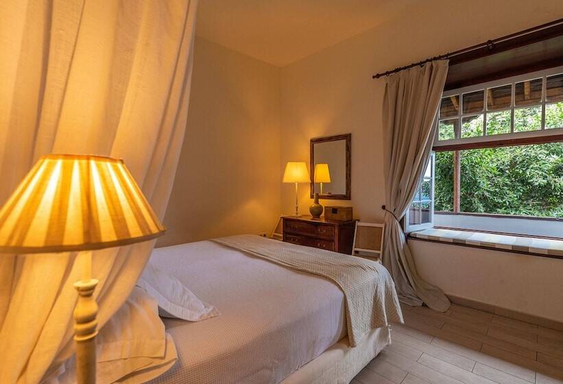 سوئیت با بالکن, Isla Baja Suites