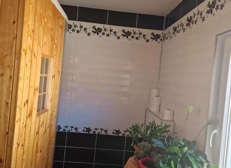 اتاق استاندارد با سرویس بهداشتی مشترک, Casa Cojanu