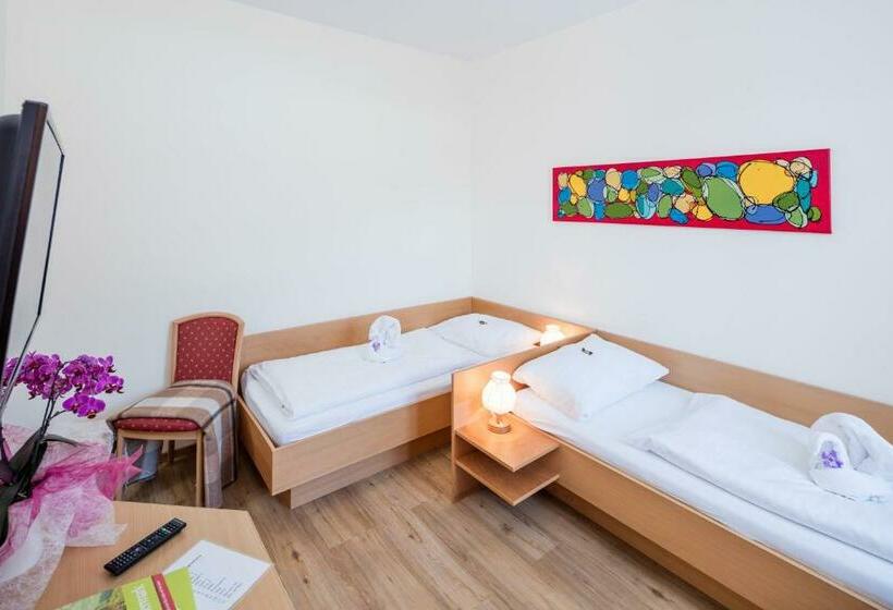Номер Стандарт, Gasthaus Pension Zum Lustigen Steirer