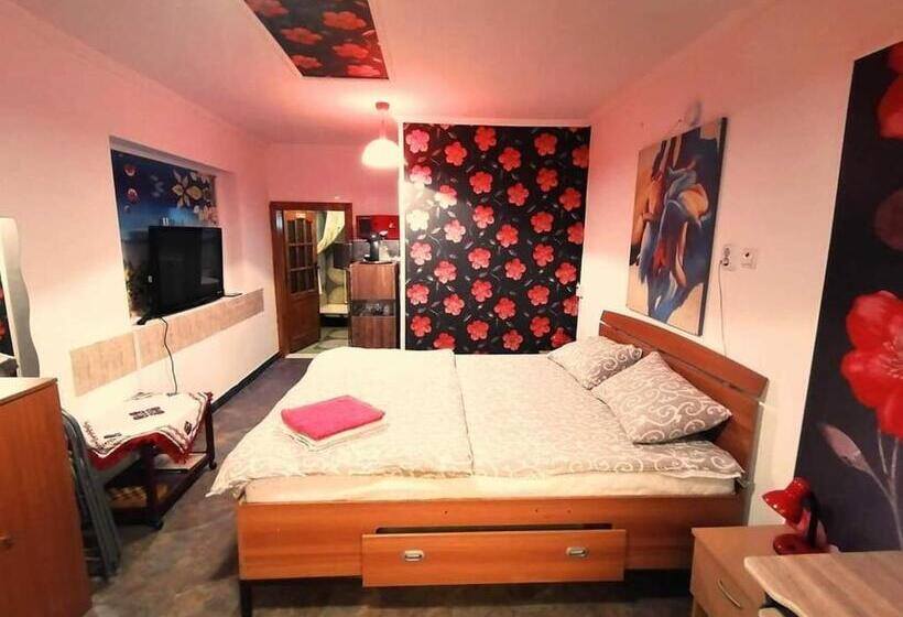 스탠다드 테라스 룸, Hostel Pascalis Alesd
