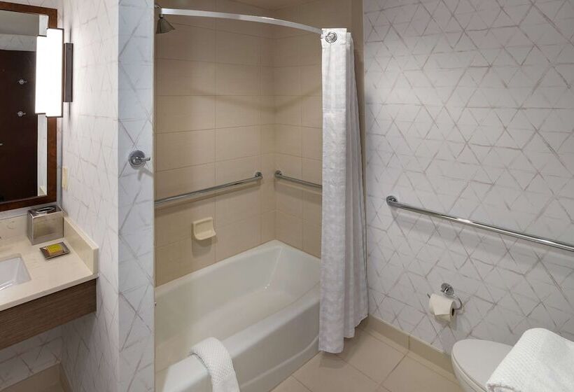 اتاق استاندارد برای معلولان, Hilton Asheville Biltmore Park