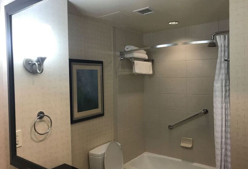 اتاق استاندارد برای معلولان, Hilton Asheville Biltmore Park