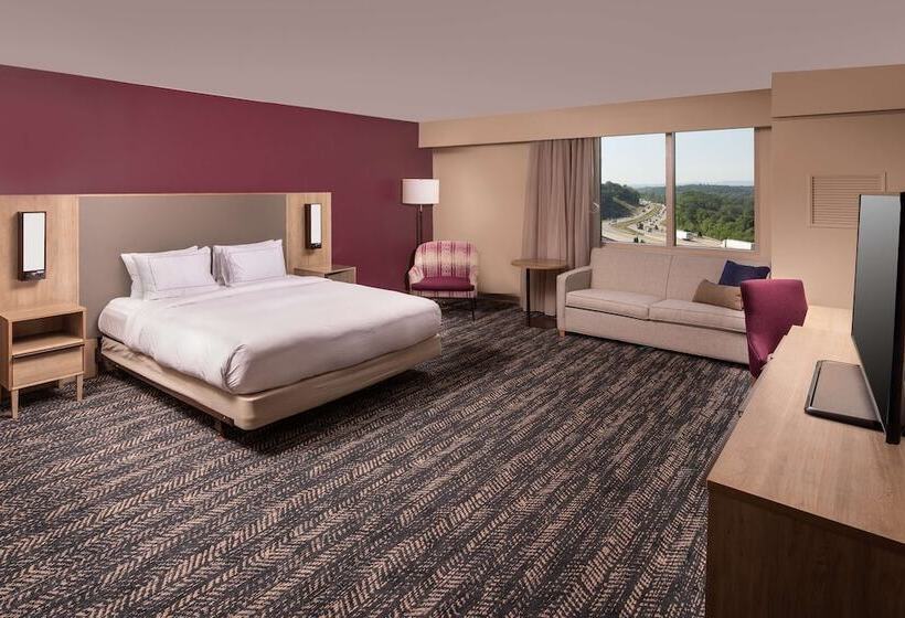 اتاق استاندارد برای معلولان, Hilton Asheville Biltmore Park