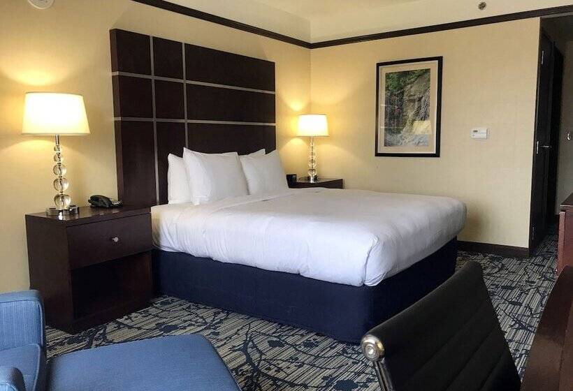 اتاق استاندارد برای معلولان, Hilton Asheville Biltmore Park