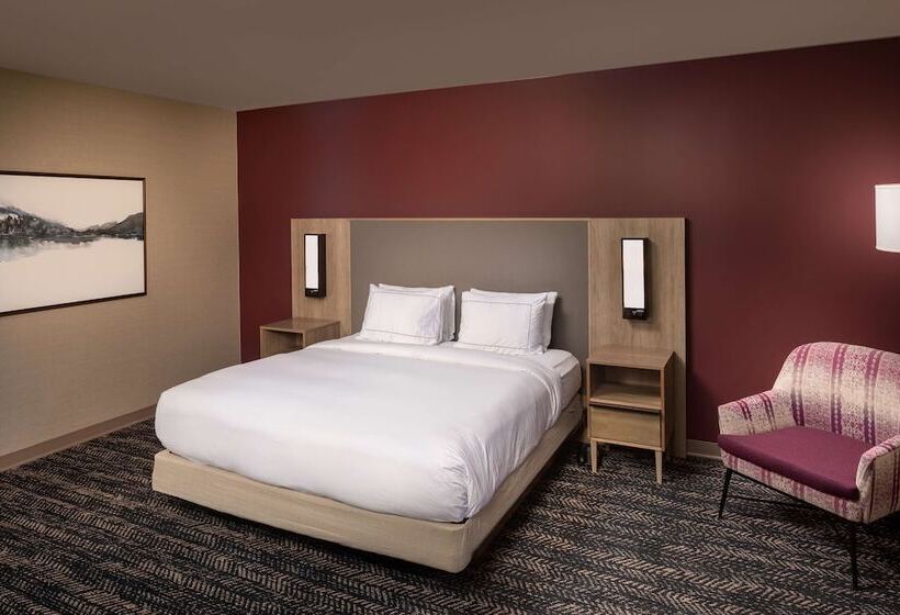 اتاق استاندارد برای معلولان, Hilton Asheville Biltmore Park