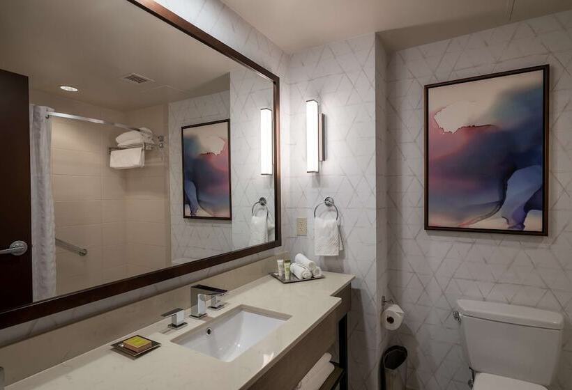 اتاق استاندارد, Hilton Asheville Biltmore Park