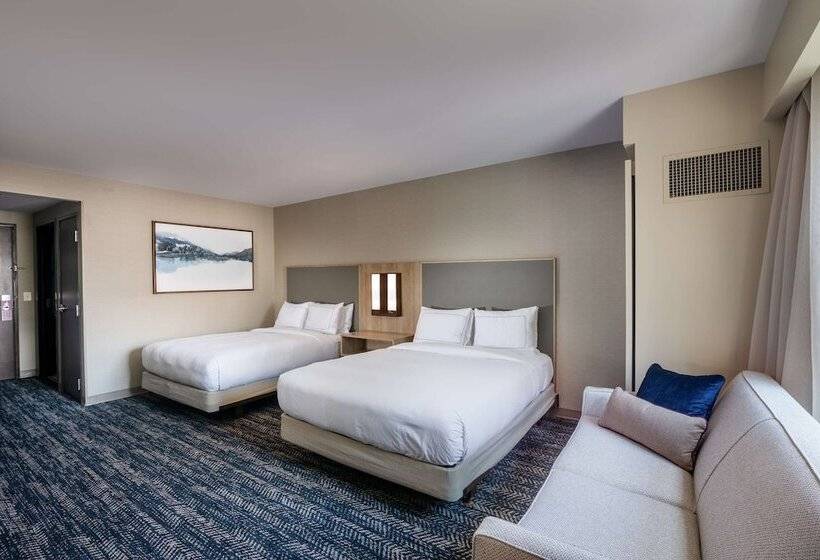 اتاق استاندارد, Hilton Asheville Biltmore Park