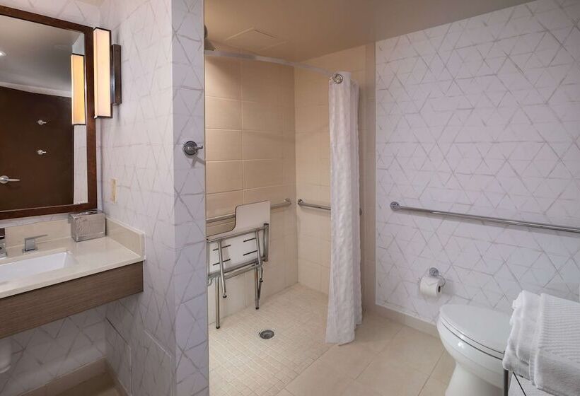 اتاق استاندارد برای معلولان, Hilton Asheville Biltmore Park