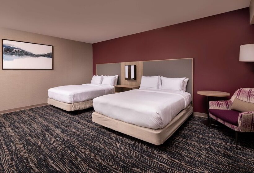 اتاق استاندارد برای معلولان, Hilton Asheville Biltmore Park