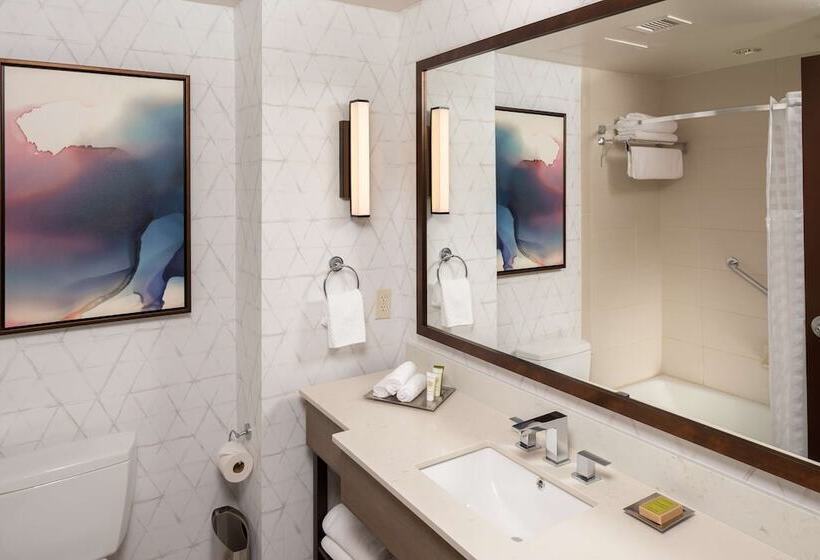 اتاق استاندارد با 2 تخت دوبل, Hilton Asheville Biltmore Park
