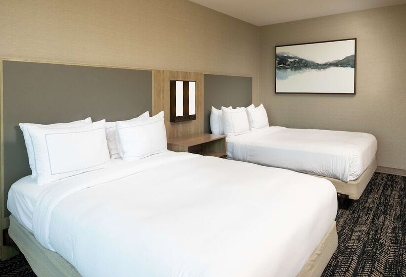 اتاق استاندارد با 2 تخت دوبل, Hilton Asheville Biltmore Park