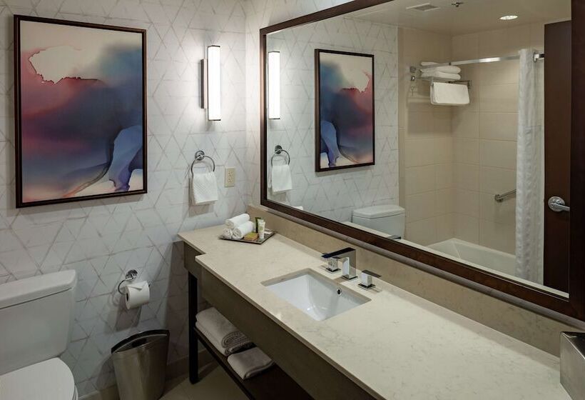 اتاق استاندارد با تخت دوبل, Hilton Asheville Biltmore Park