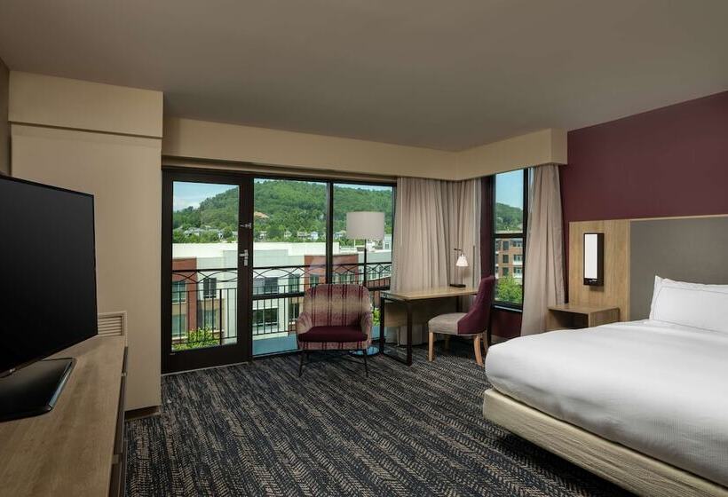 اتاق استاندارد با تخت دوبل, Hilton Asheville Biltmore Park