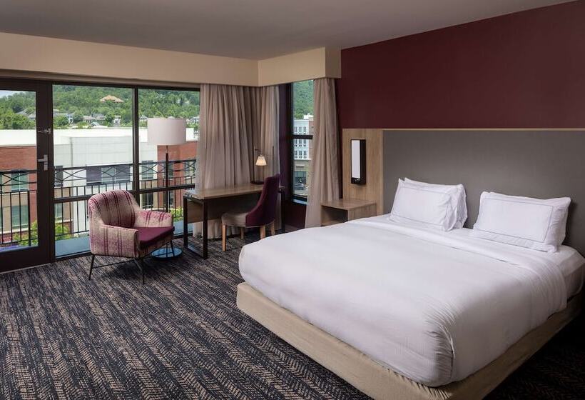 اتاق استاندارد با تخت دوبل, Hilton Asheville Biltmore Park