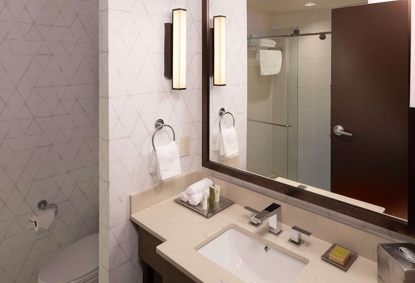 اتاق استاندارد با تخت دوبل, Hilton Asheville Biltmore Park