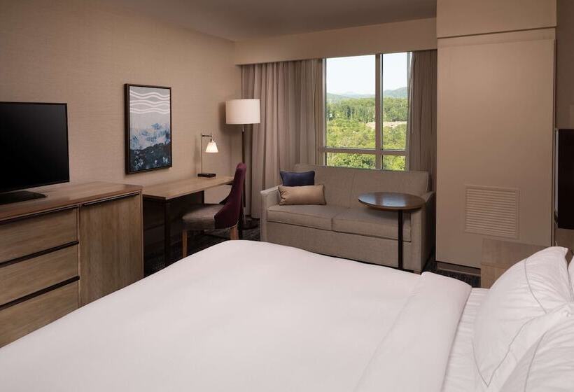 اتاق استاندارد با تخت دوبل, Hilton Asheville Biltmore Park