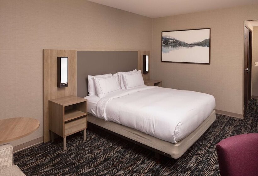 اتاق استاندارد با تخت دوبل, Hilton Asheville Biltmore Park