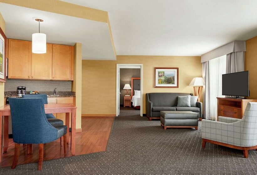 سوئیت 2 خوابه, Homewood Suites By Hilton Allentown West/fogelsville, Pa